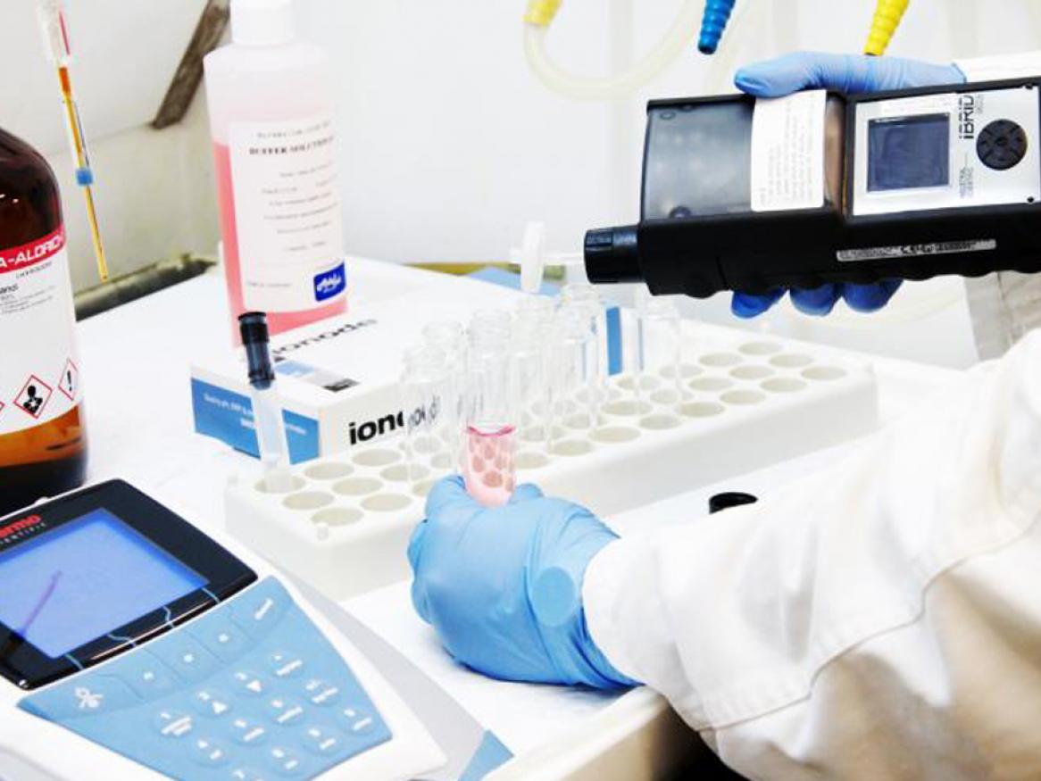 Our research scientists provide quality lab services