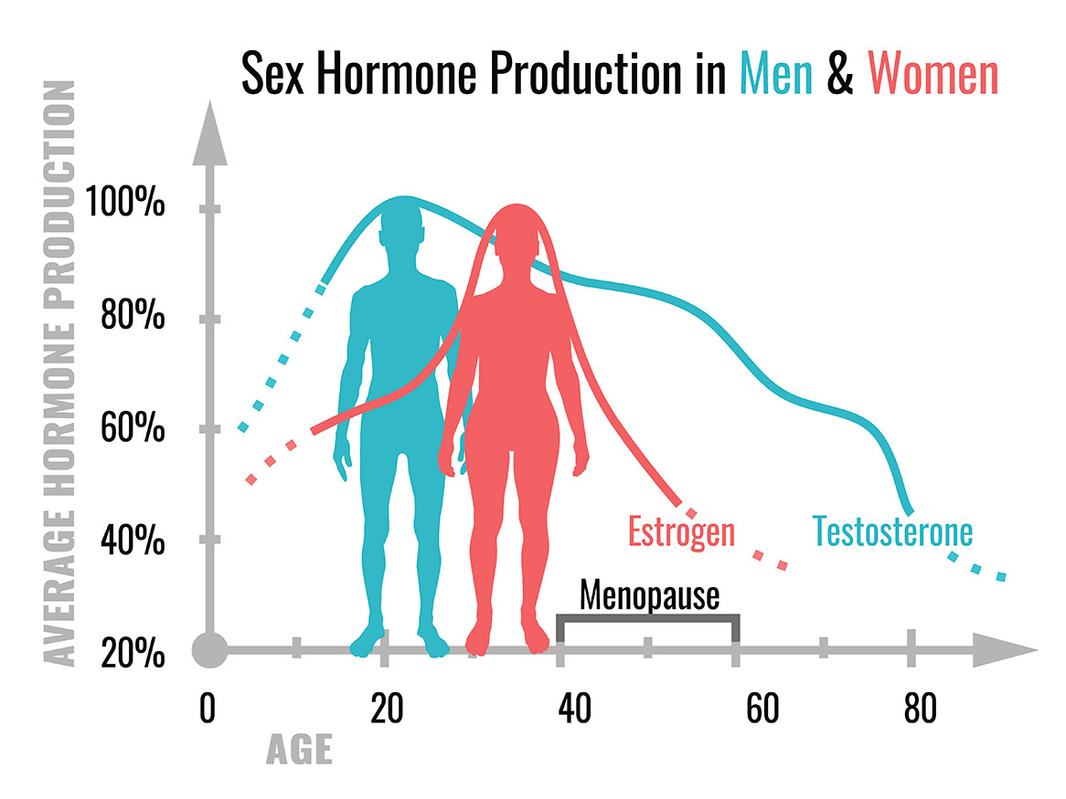 Chart showing sex hormone production in men & women. Male testosterone production peaks around the age of 20 and then gradually slows down to around 40% at the age of 80. Female estrogen levels peak around the age of 35-40 and sharply decline from the age of 40 down to 40% at the age of 50. The female menopause stage occurs between the age of 40-60.