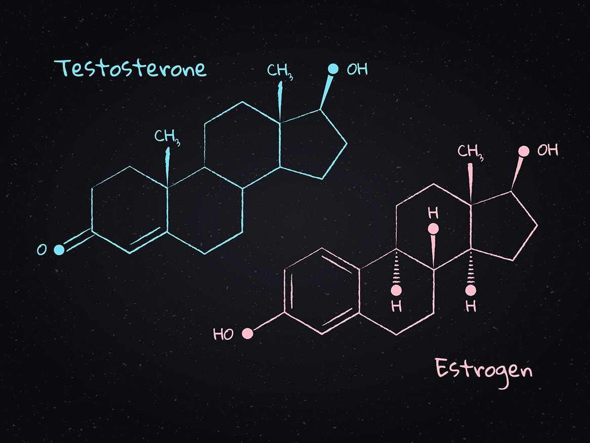 Testosterone and Estrogen structure