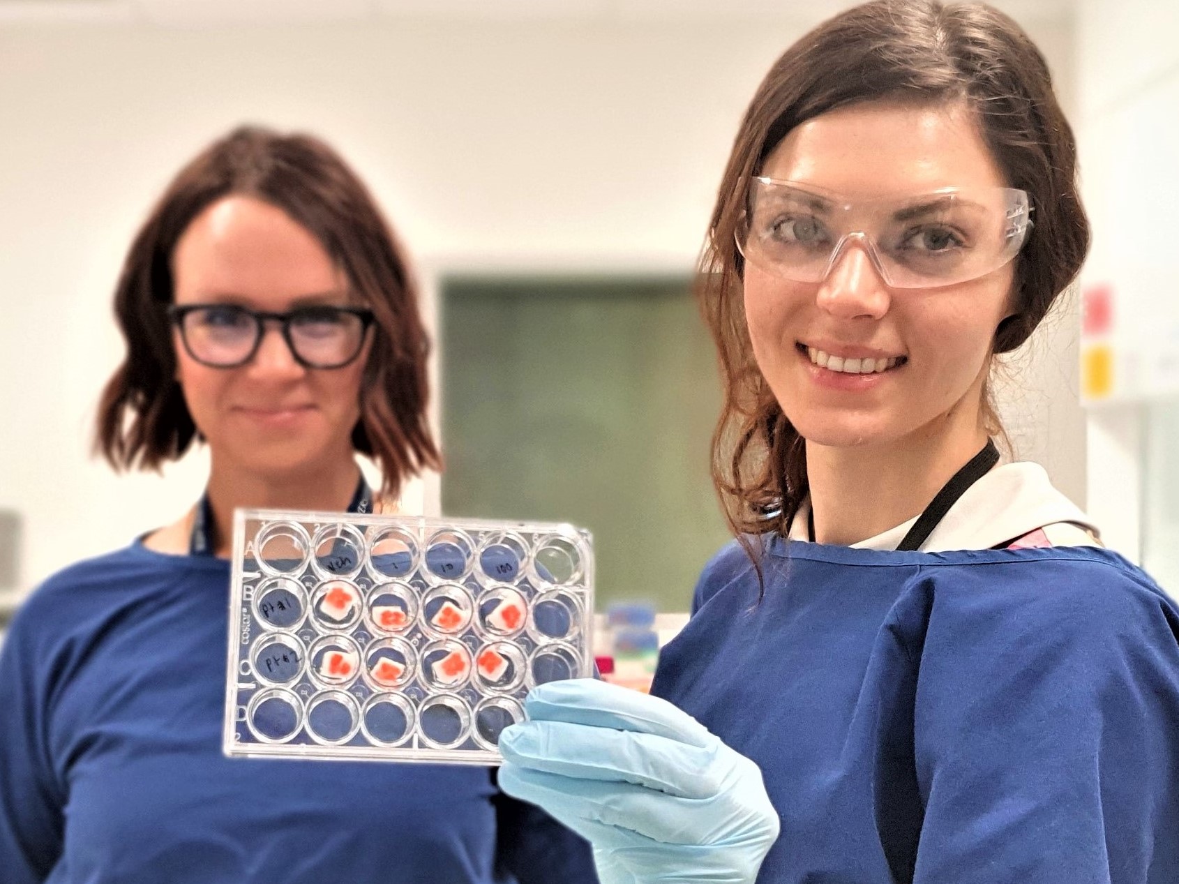 Scientists holding explant tissue plate