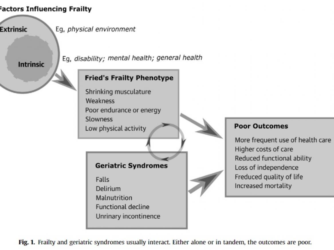 Factors influencing frailty