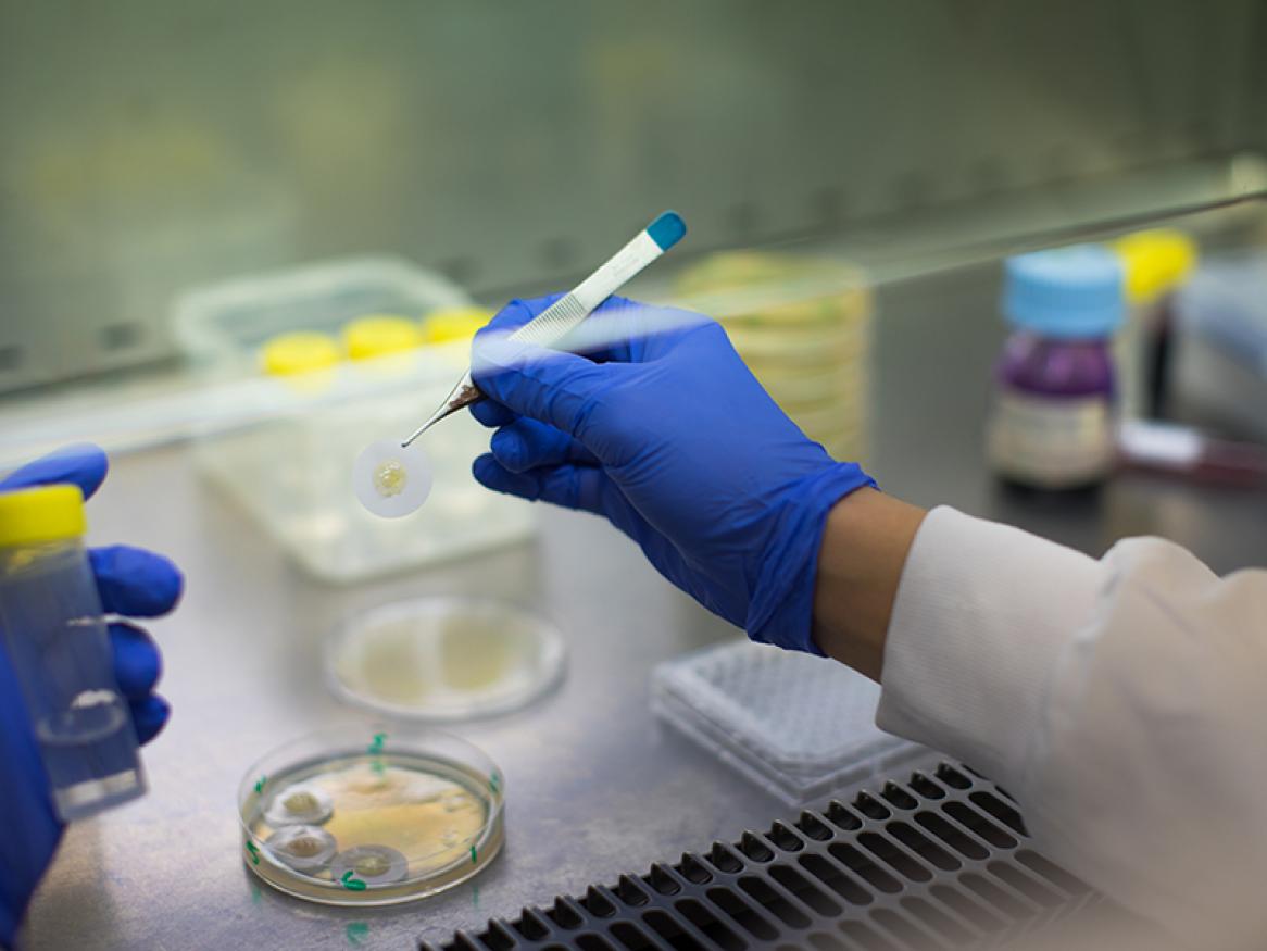 Research News