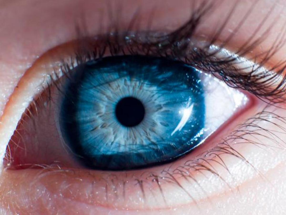 Ophthalmology and Visual Sciences