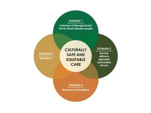 Culturally safe and equitable care; Domain 1 - inclusion of Aboriginal and Torres Straight Islander people; Domain 2 - Workforce; Domain 3 - service delivery approach and models of care; Domain 4 - structures and policies