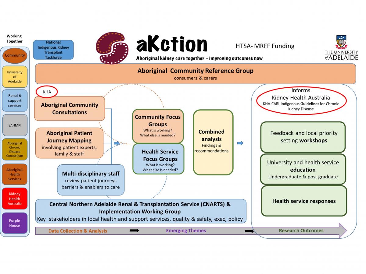 Akction 1 - research process. Consultations, to focus groups, to analysis, which informs Kidney Health Australia. 