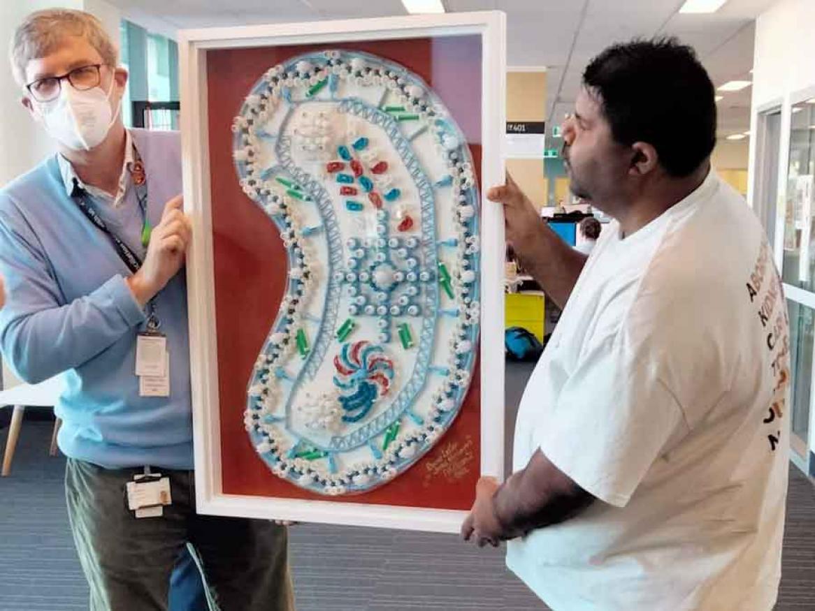 Kidneys: Created by Rhanee Lester and Jared Kartinyeri using dialysis consumables