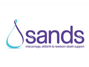 SANDS logo
