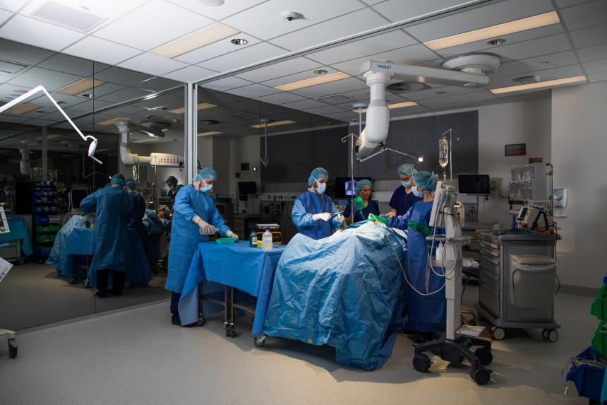 Simulated surgery scene