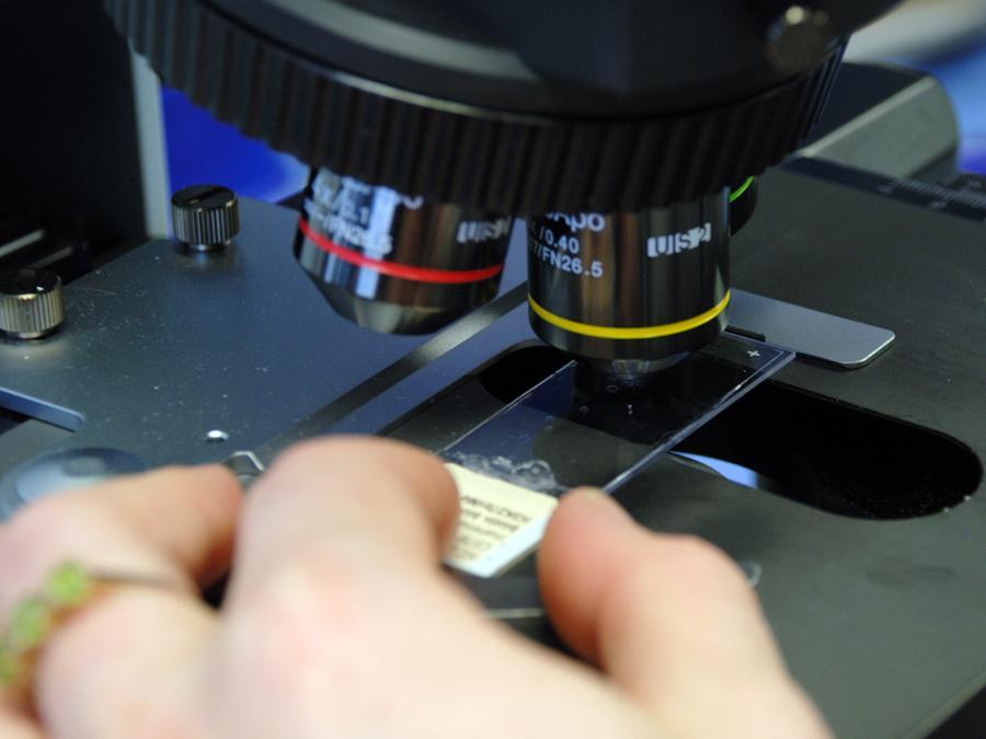 Close up of hand holding slide under microscope