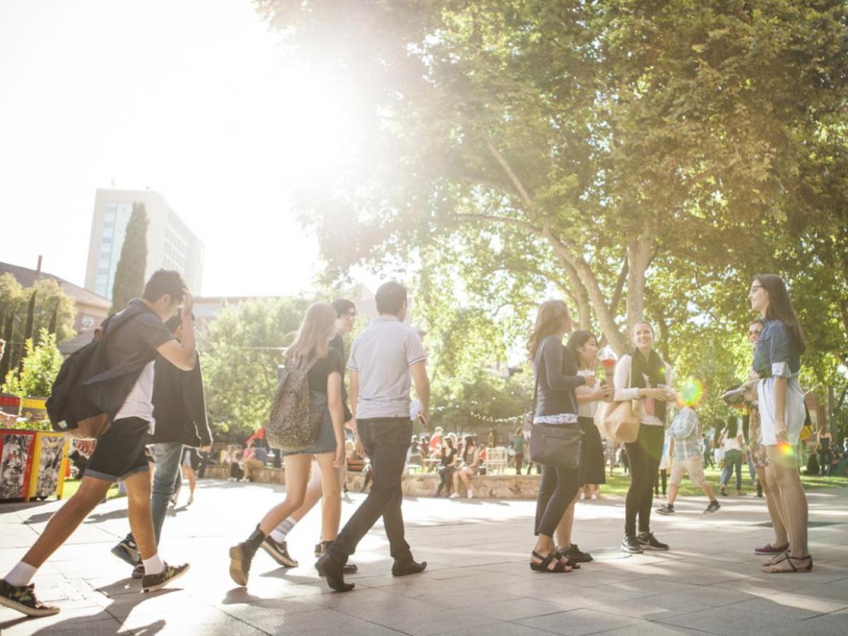 Students walking on campus with sun flare in background