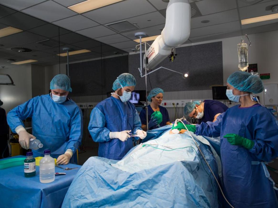 Simulated surgery scene