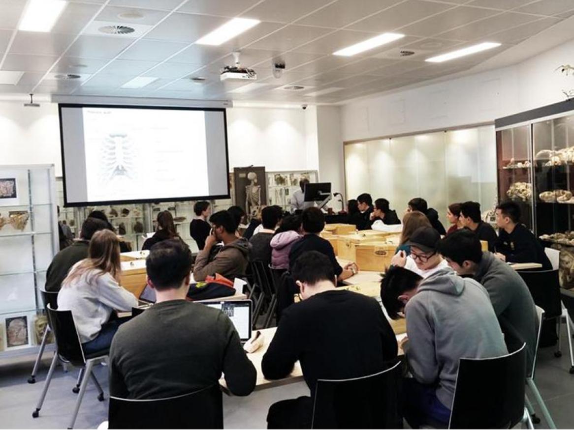 Room full of students seated at desks in front of projector screen