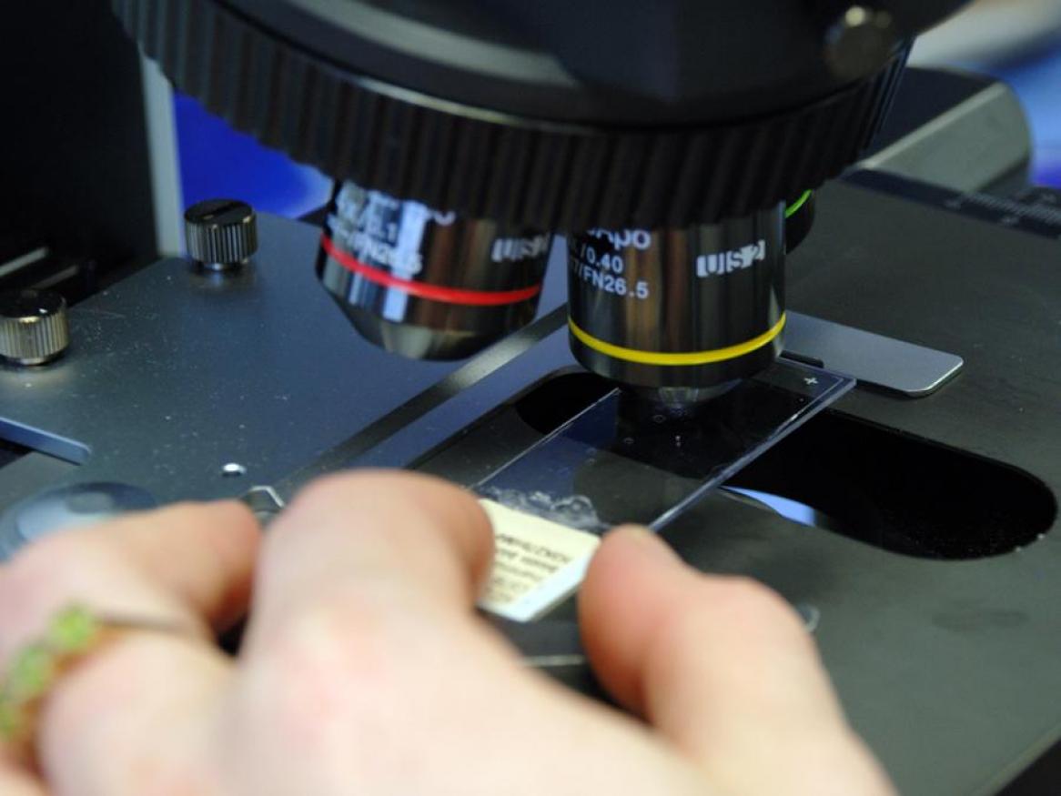 Close up of hand holding slide under microscope
