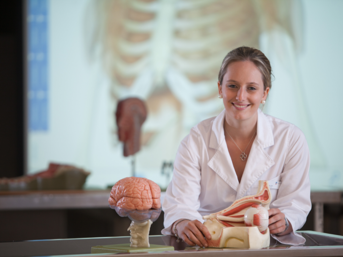 Portrait of a research student sitting at a desk with models of human organs