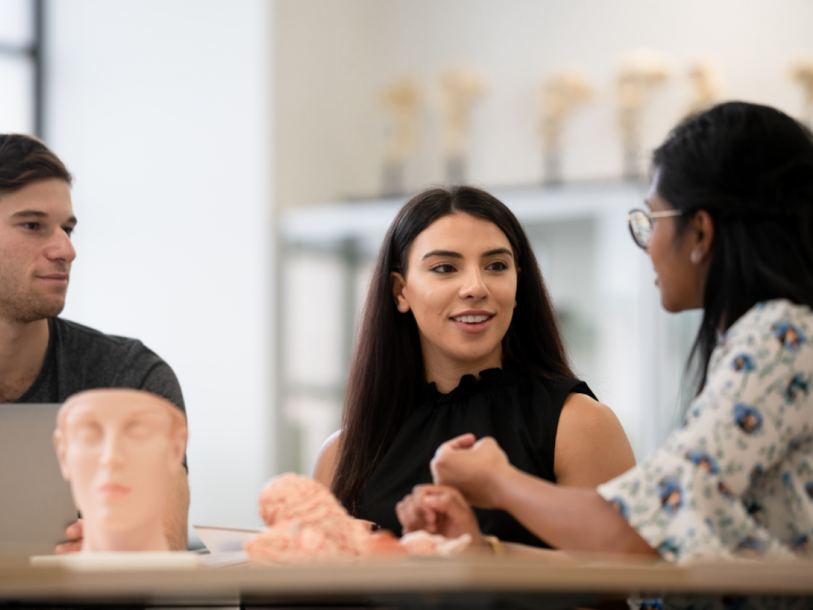 Three students sitting in the Vernon Roberts Museum with anatomy models on the desk in front of them