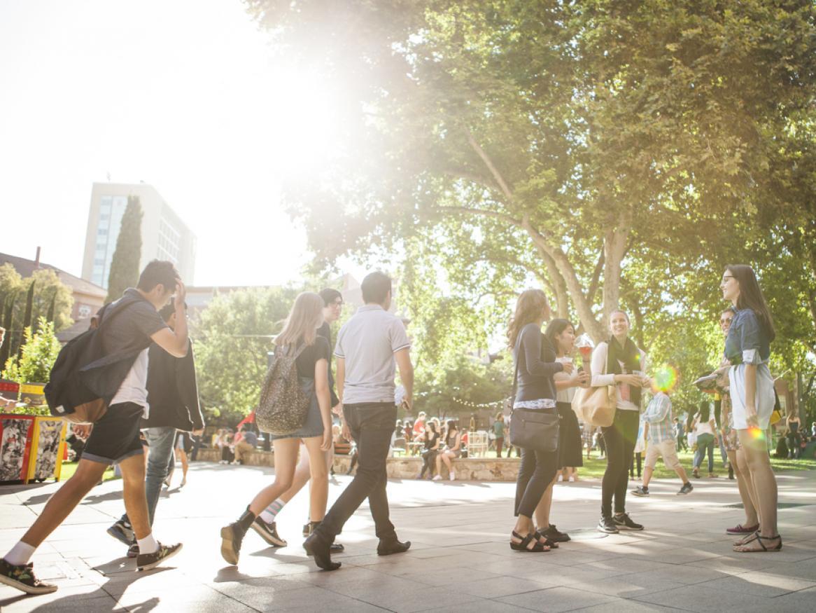 Students walking on campus with sun flare in background